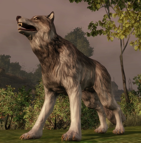 File:Creature-Wolf.png