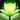 Spell-Spellbloom icon