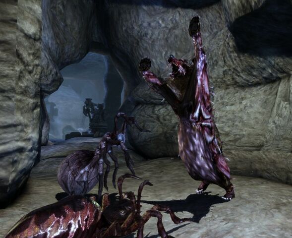 File:Slam2.jpg