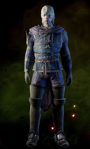 File:Medium-Adventurer-Armor-Cole.png