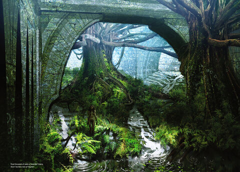 File:Brecilian forest.jpg