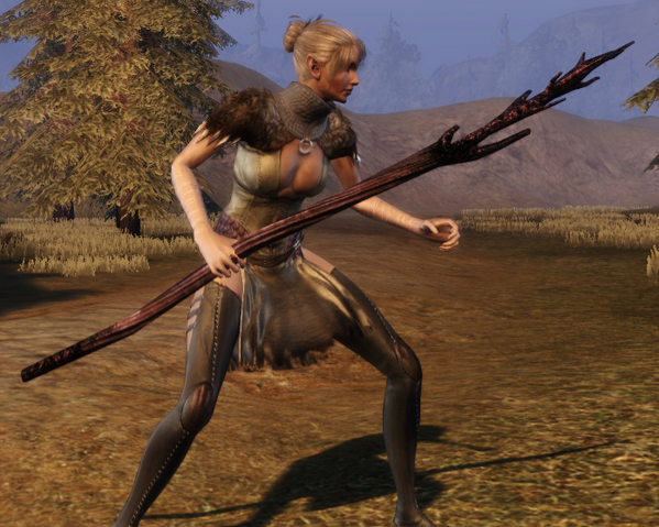 File:Flemeths broomstick awakening.png