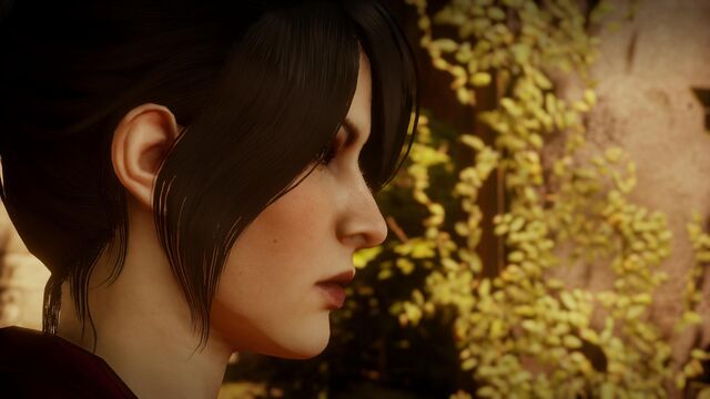 Archivo:DragonAgeInquisition 2016-06-09 17-37-09-61.jpg