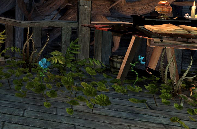 File:Harlotsblush.png
