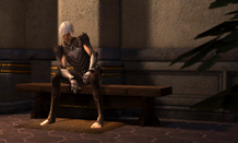 A bitter pill fenris hawke's estate.png