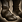 22px-Ico boots med