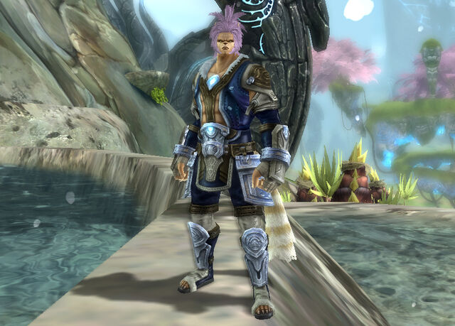 File:ShamanSpinArmor.jpg