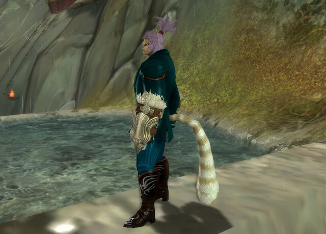 File:ShamanTrainingCrusher.jpg