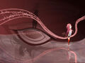Thumbnail for version as of 03:21, November 23, 2012