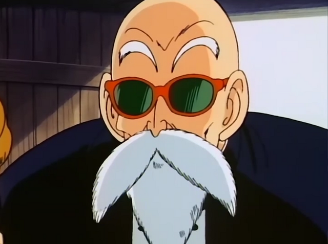 File:RoshiTalkingToFighter.png