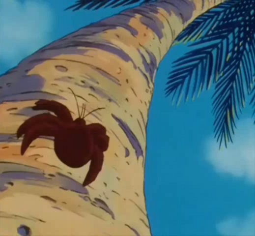 File:KameHouseSpider.png
