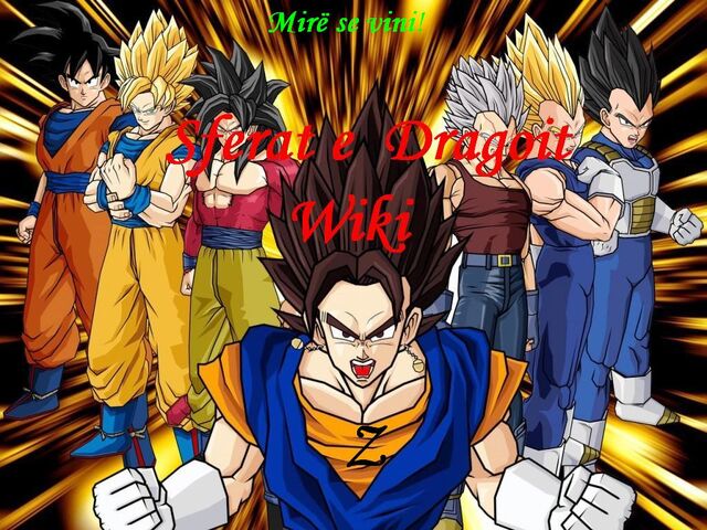 Skeda:Dbz.jpg