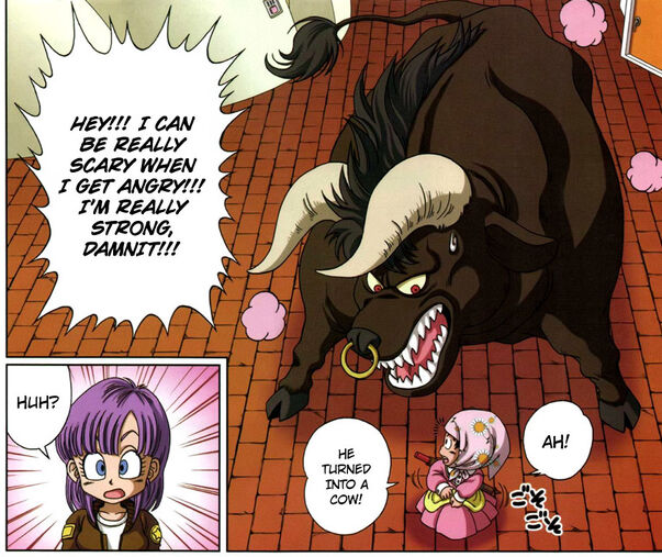 File:DBSD panel.jpg