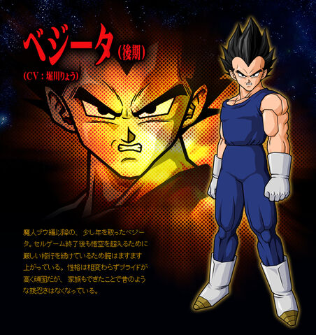 File:Vegetastoiclook.jpg