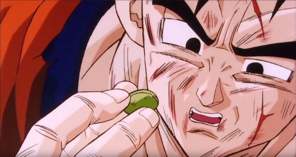 File:Future Gohan 003.jpg
