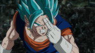 Vegetto SSDSS.png
