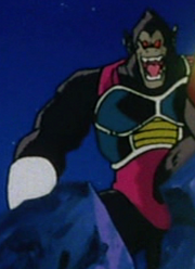 Great Ape fasha.png