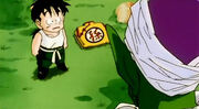 Gohan-Ent