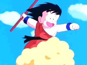 GOKU FELIS.jpg
