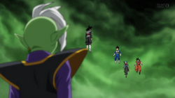 Zamasu and Zamasu