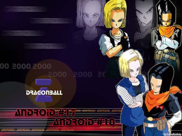 File:Androids 17 and 18.jpg