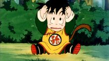 Gohan senza cappello.jpg