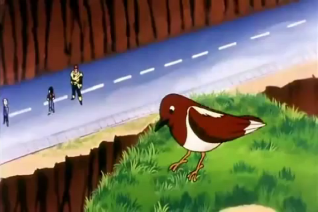 File:MountainRoadBird.png