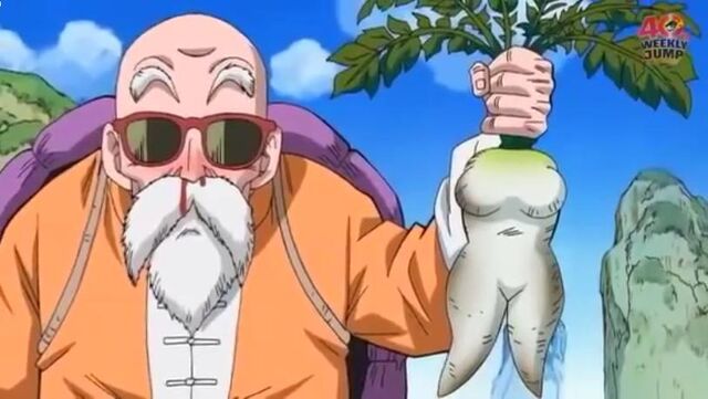 File:Roshi.jpeg