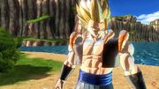 XV2