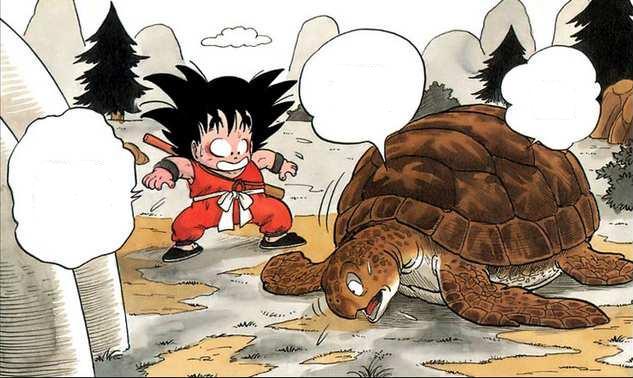Arquivo:Gokuseesturtle.jpg