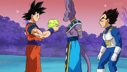Tullece Vegeta is Beerus