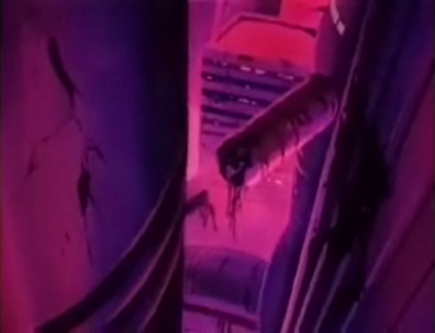 File:PVegeta2(Dodo).png