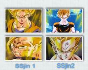 SSJ1-2