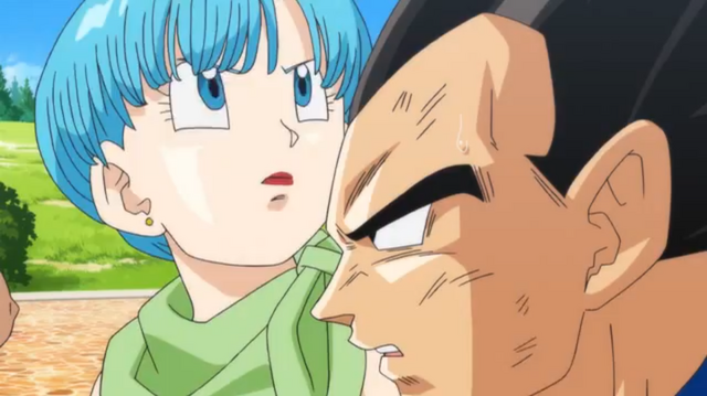 File:Bulma&Vegeta1(BoG).png