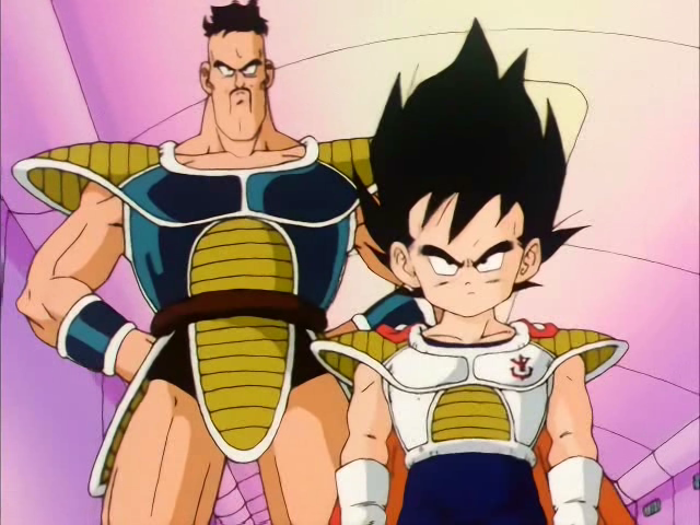 Arquivo:NAPPA.png