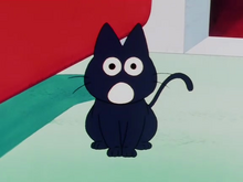 TamaDr.Brief.png