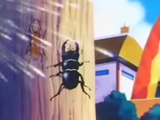 Escarabajos.png