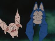 Oolongpuarbats