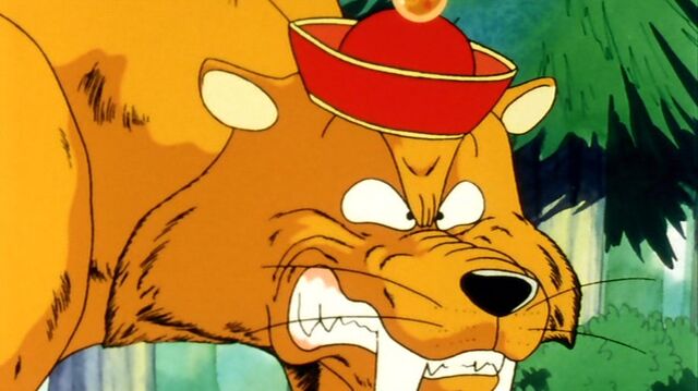 File:Tigre con cappello di gohn.jpg