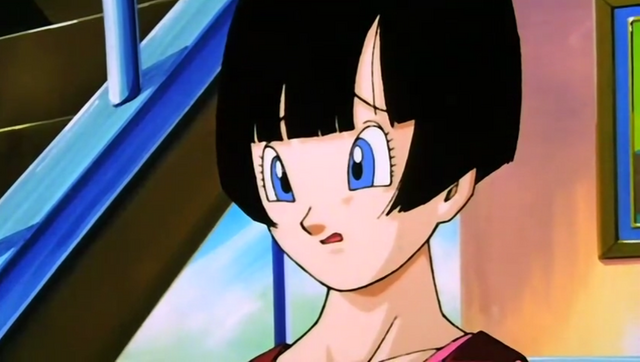 File:Videl10YearsLater.png