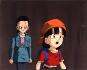 Videl parasitada.jpg