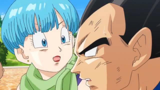 File:Bulma&Vegeta2(BoG).png