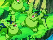 Giras 3