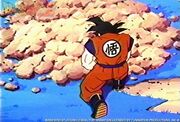 Son Goku30.jpg