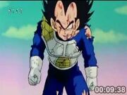 Vegeta agotado.jpg