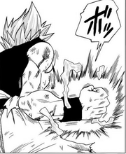 Goku's Hakai DBS manga