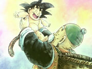 Son-Gohan findet Son-Goku.jpg