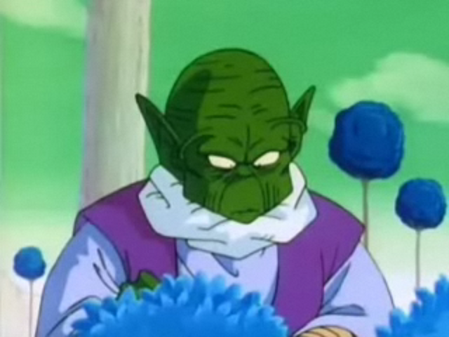 File:TNamek1.png