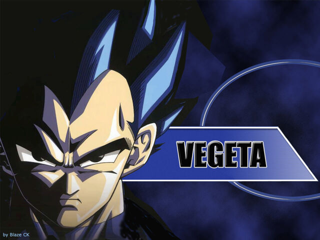 File:Vegeta Z.jpg