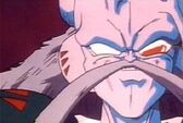 Dr Raichi.jpg